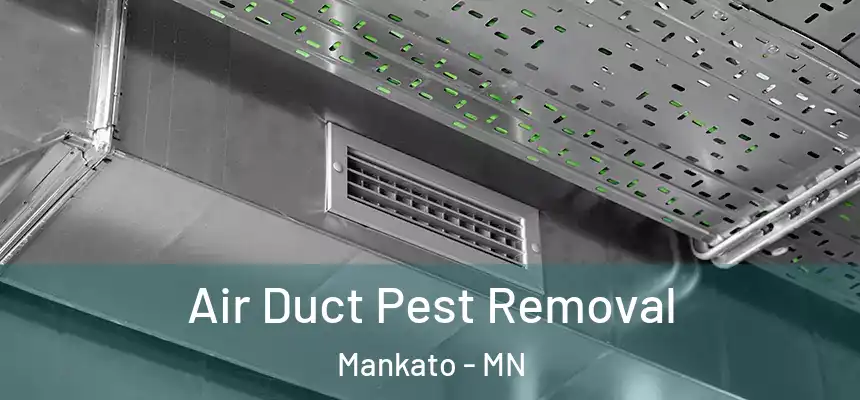  Air Duct Pest Removal Mankato - MN