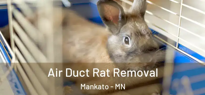  Air Duct Rat Removal Mankato - MN