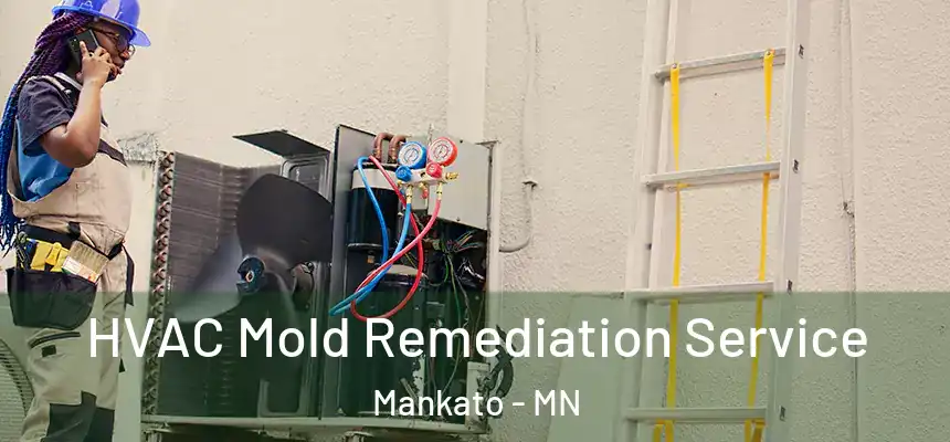 HVAC Mold Remediation Service Mankato - MN