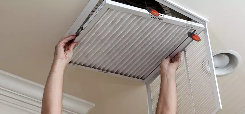 Preventive Cockroach-Proofing for Ducts in Mankato