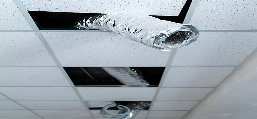 Our Air Duct Pet Hair Removal Services in Mankato, MN