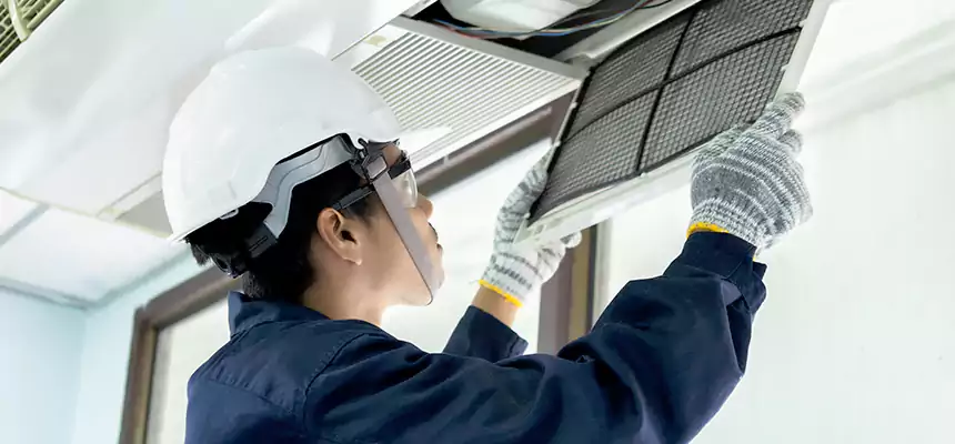 Our Mold & Mildew Removal from Air Ducts Services in Mankato, MN