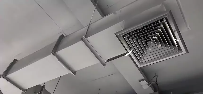 Our Pest Removal From Ducts Services in Mankato, MN