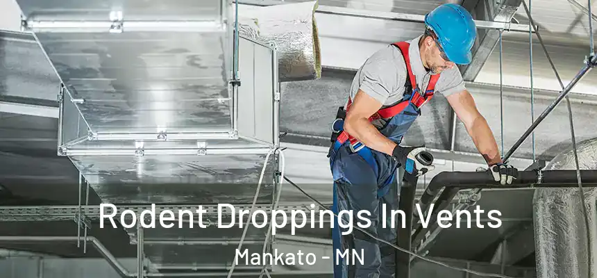 Rodent Droppings In Vents Mankato - MN