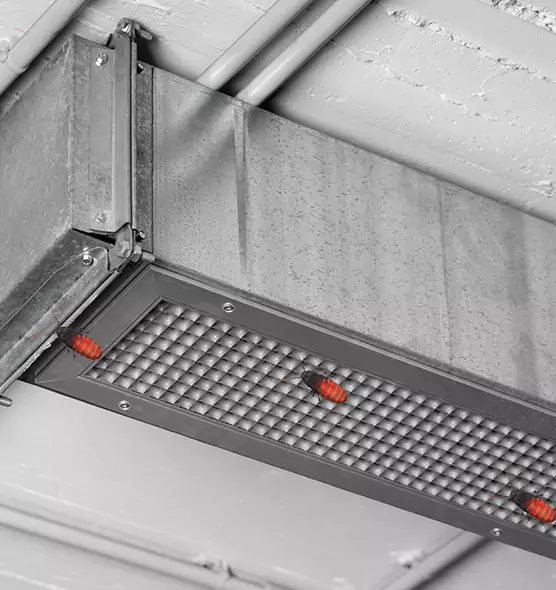 About Air Duct Cockroach Removal in Mankato, MN