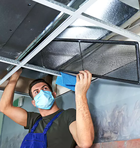 Professional Air Duct Pollen Cleaning in Mankato, MN