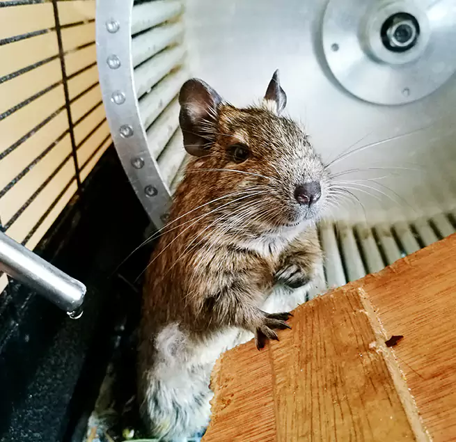 Why Homeowners & Businesses Trust Us Mankato, MN