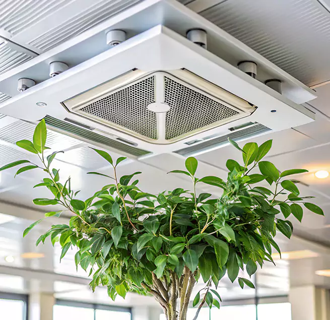 Why Homeowners & Businesses Trust Us in Mankato, MN?